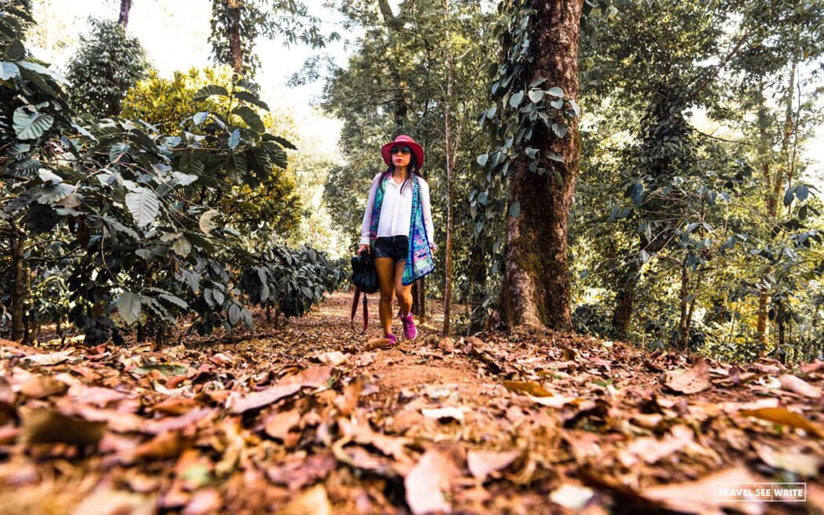 Wilderness Walk