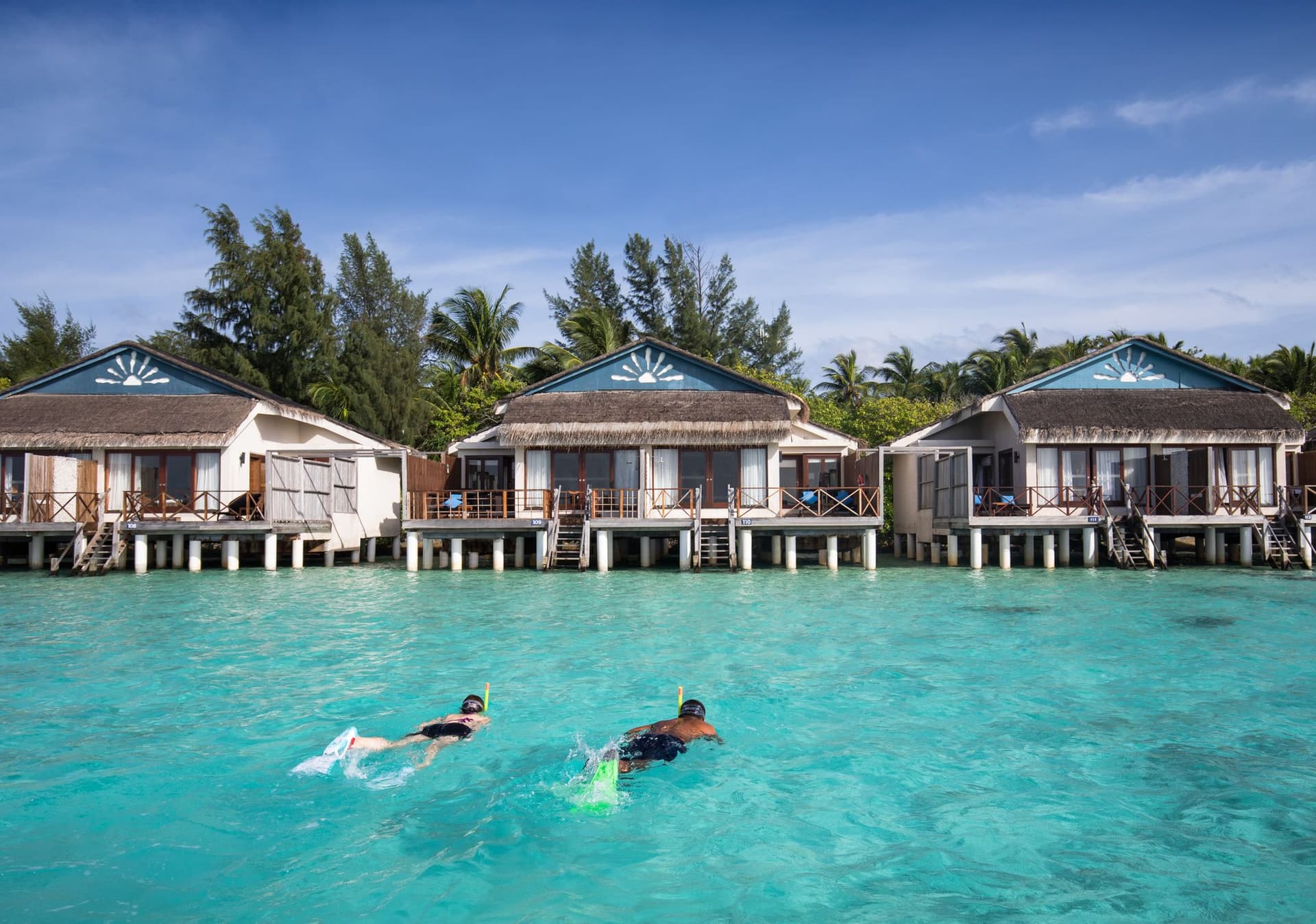 House reef snorkeling
