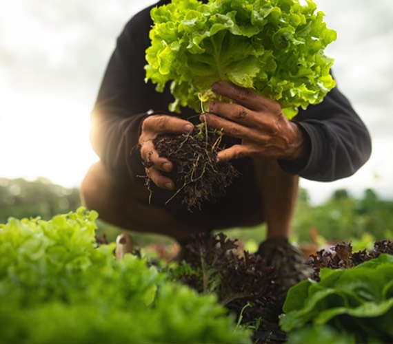 Harmony in Nature: Organic Farming & Animal Care