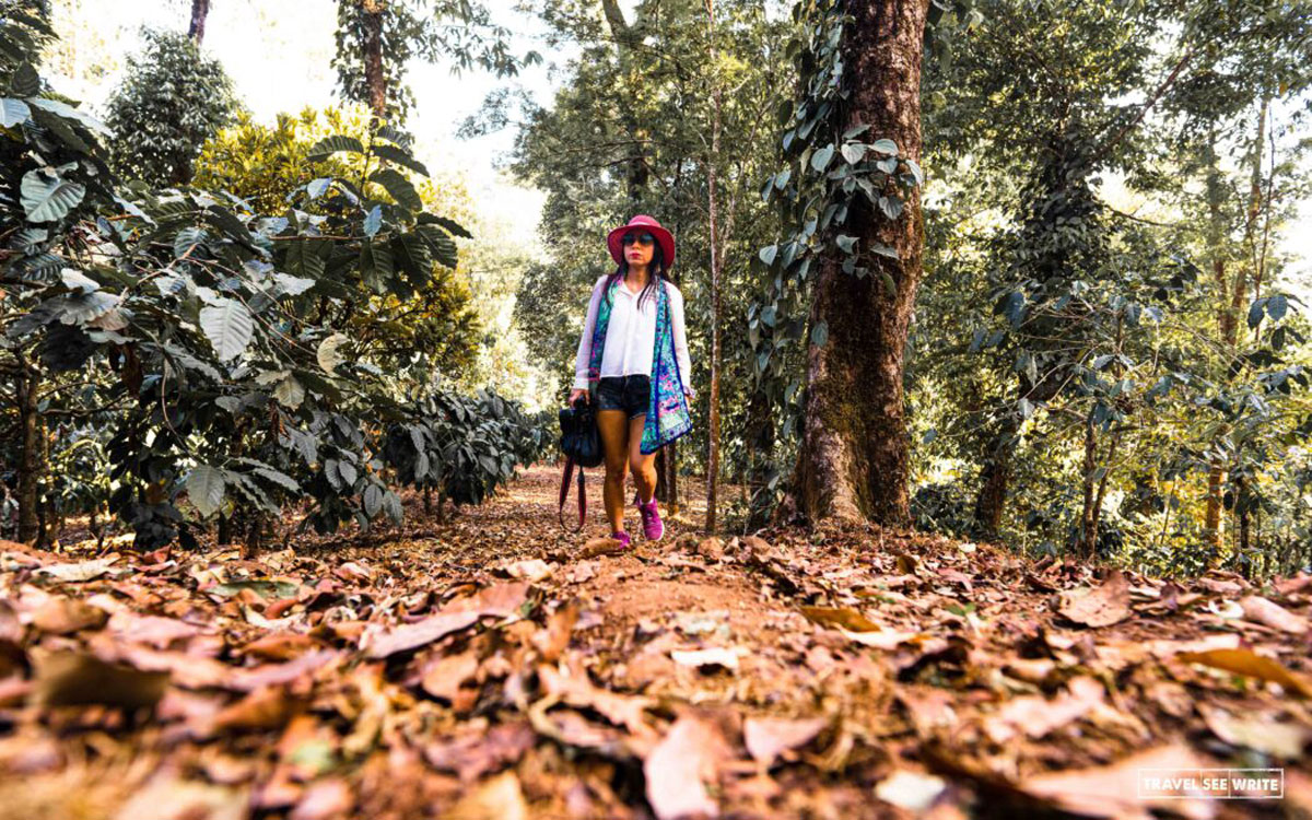 Wilderness Walk