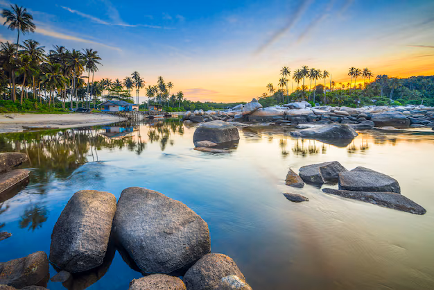 Bintan Island Wellness