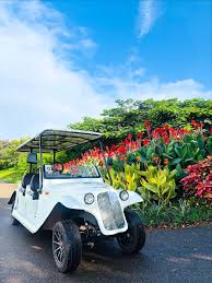 Buggy Tour