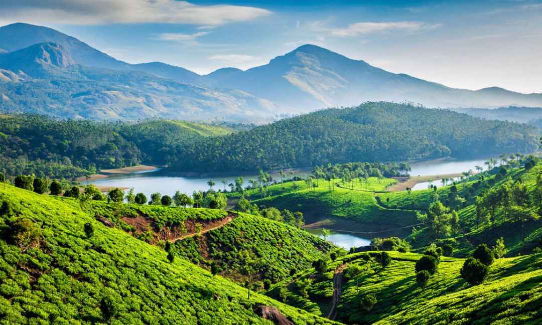Western Ghats Rediscovered