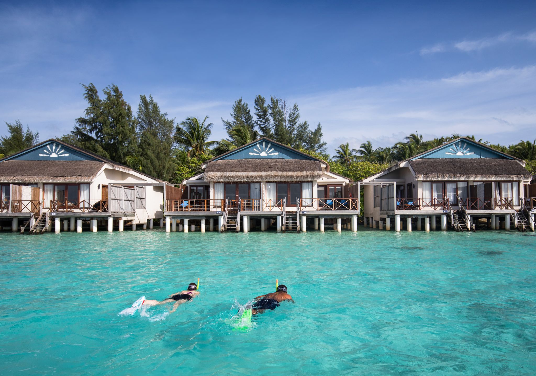 House reef snorkeling