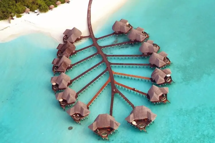 Coco Palm Dhuni Kolhu
